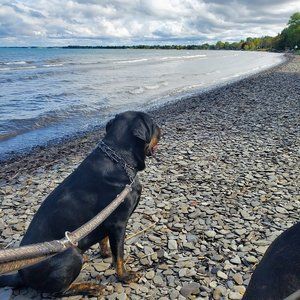 Meet your Posher, Gina